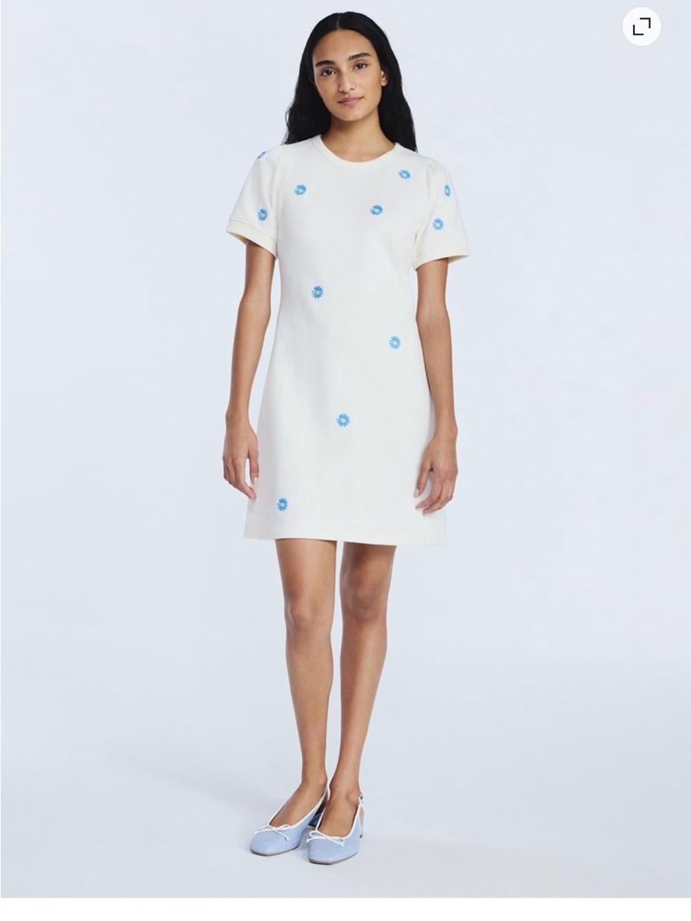 Free Assembly Daisy Shift Dress with Blue Floral Embroidery XS new